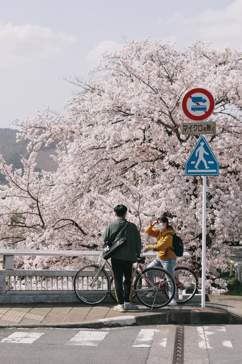 Explore Kyoto by Bike