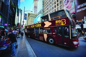 New York Hop-on Hop-off Bus Tour