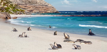 2 Night Kangaroo Island Discovery