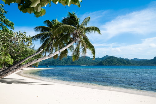 A beach on the island on Fiji