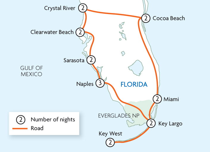 Wild Florida