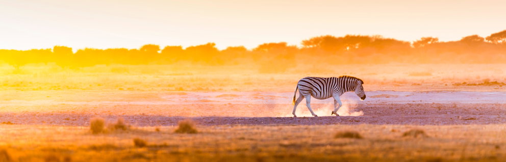 Epic Southern Africa Adventures