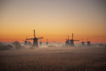 No Fly Dutch Masters and Dutch Icons by Eurostar
