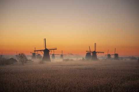No Fly Dutch Masters and Dutch Icons by Eurostar