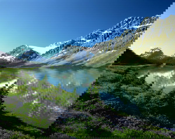 Alberta's Rocky Mountain Wanderer