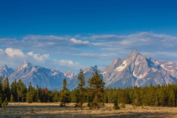 Yellowstone & Grand Teton National Parks