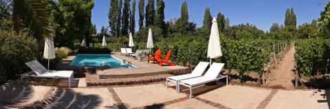 Finca Adalgisa Wine Hotel, Vineyard & Winery