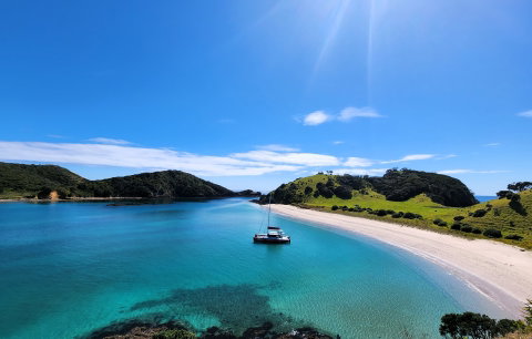 Bay of Islands Catamaran Cruise