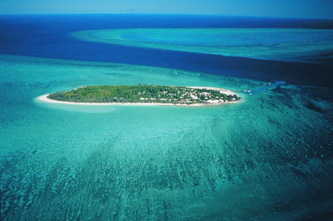 Heron Island