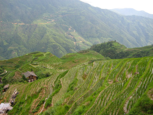 Li-An Lodge, Longsheng