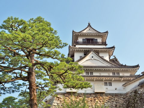 Tokyo to Seoul: Scenic Ports & Cultural Cities