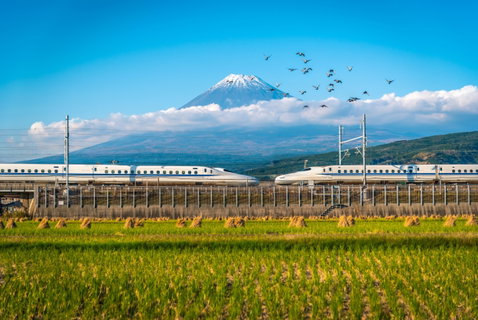 Family Rail Holidays holidays