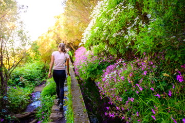 Waterways, Flowers & Levada Walks of Madeira