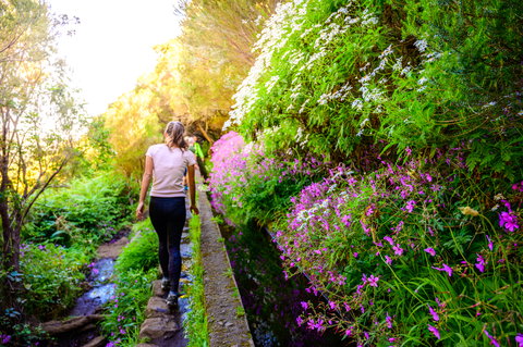 Waterways, Flowers & Levada Walks of Madeira