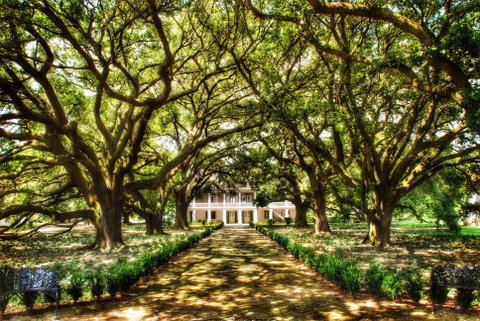 Whitney Plantation Tour