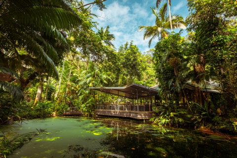 Daintree Ecolodge