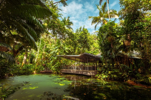 Daintree Ecolodge
