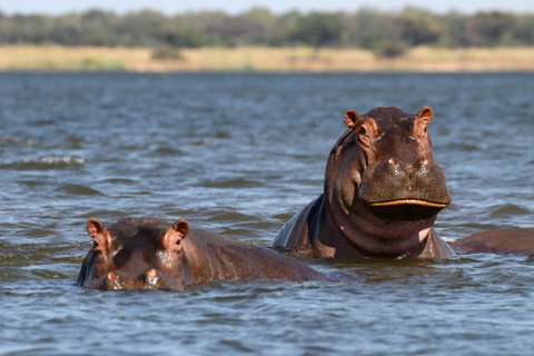 Splendours of the Zambezi & Victoria Falls