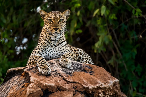 Wonders Of Kenya