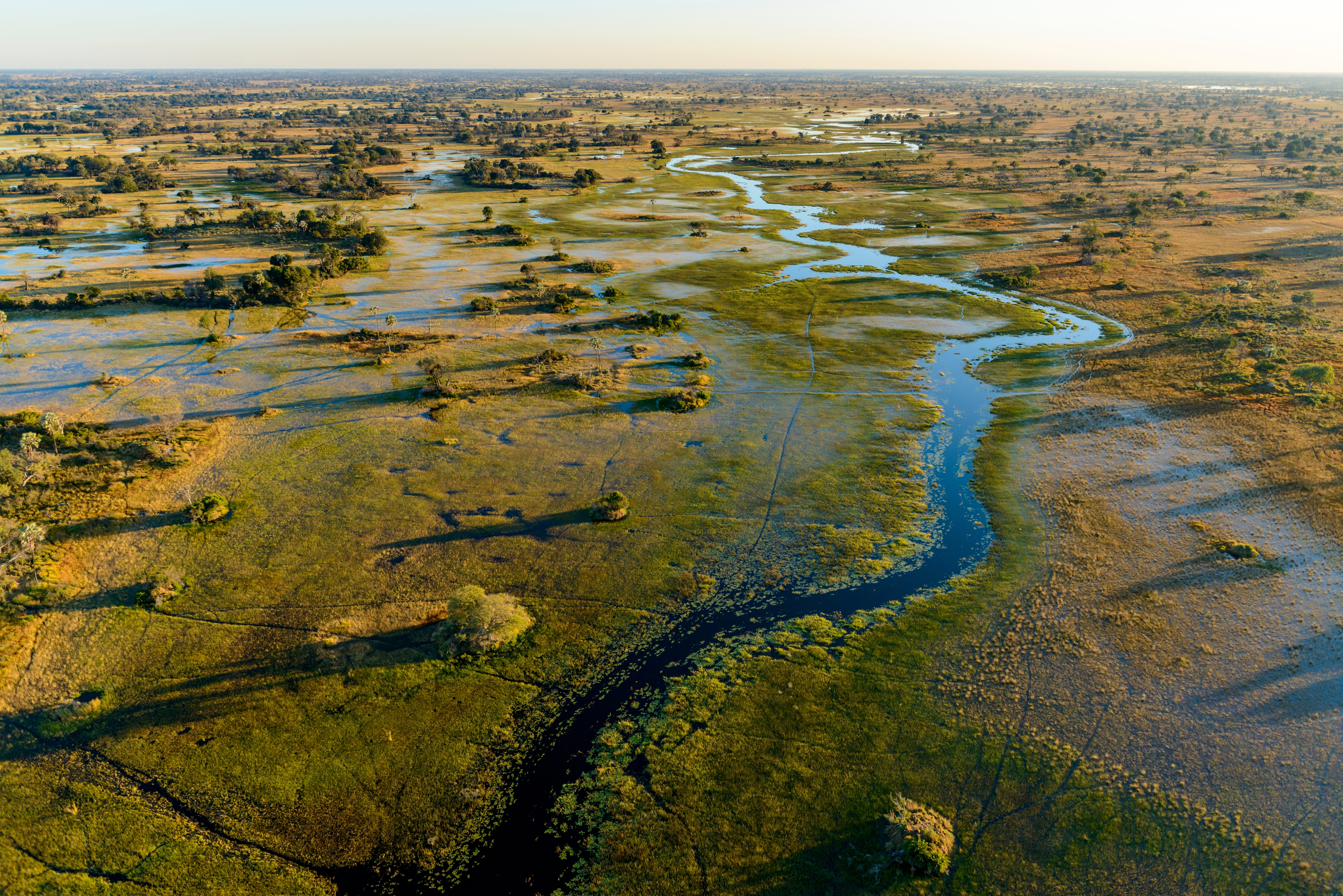 Aerial view of Okavango Delta, Botswana