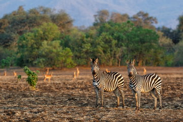 Ultimate Zimbabwe & Victoria Falls