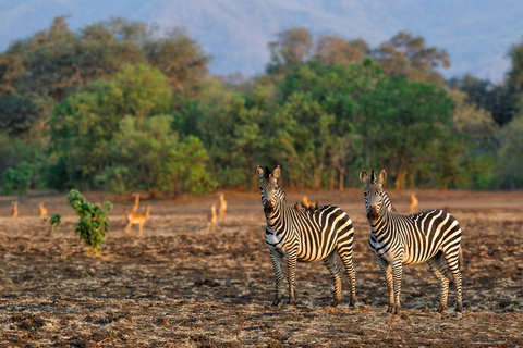 Fly In Safari holidays