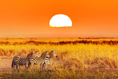 Kifaru Safari (Private), Tanzania