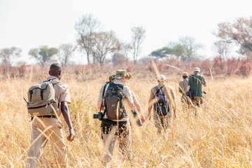 Victoria Falls & South Luangwa Walking Safari