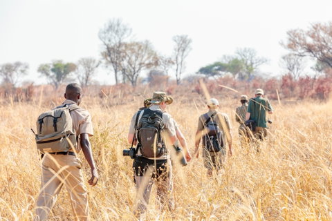 Africa Walking Holidays holidays
