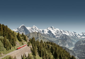 Schynige Platte by Cog Railway