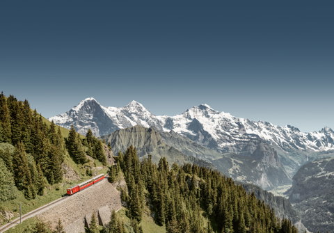 Schynige Platte by Cog Railway