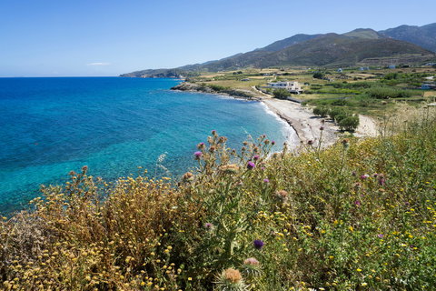 Naxos