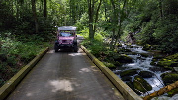 Roaring Forks Smoky Mountain Tour
