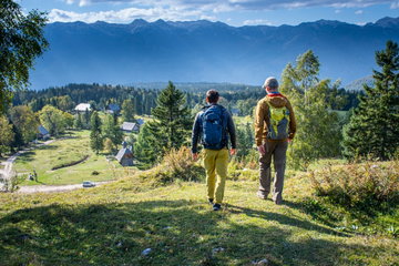 Lakes Bled, Bohinj & the Julian Alps