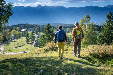 Lakes Bled, Bohinj & the Julian Alps