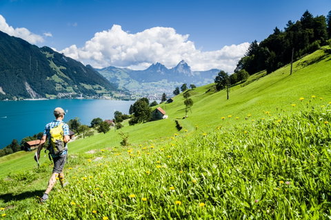 Swiss Alps Stroll & Lake Lucerne