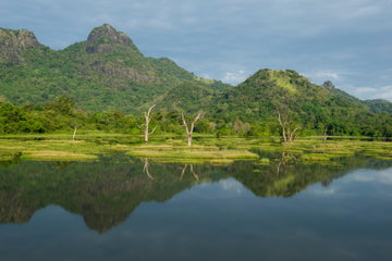 Hidden Sri Lanka