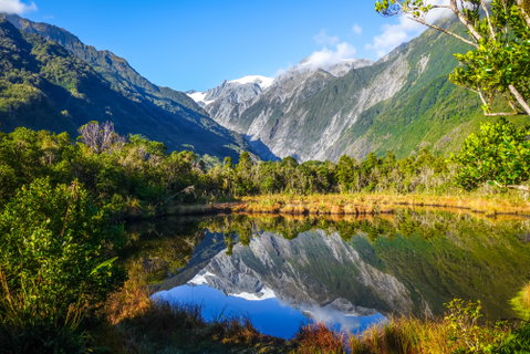 Franz Josef & Fox Glaciers