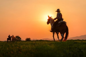 Texas