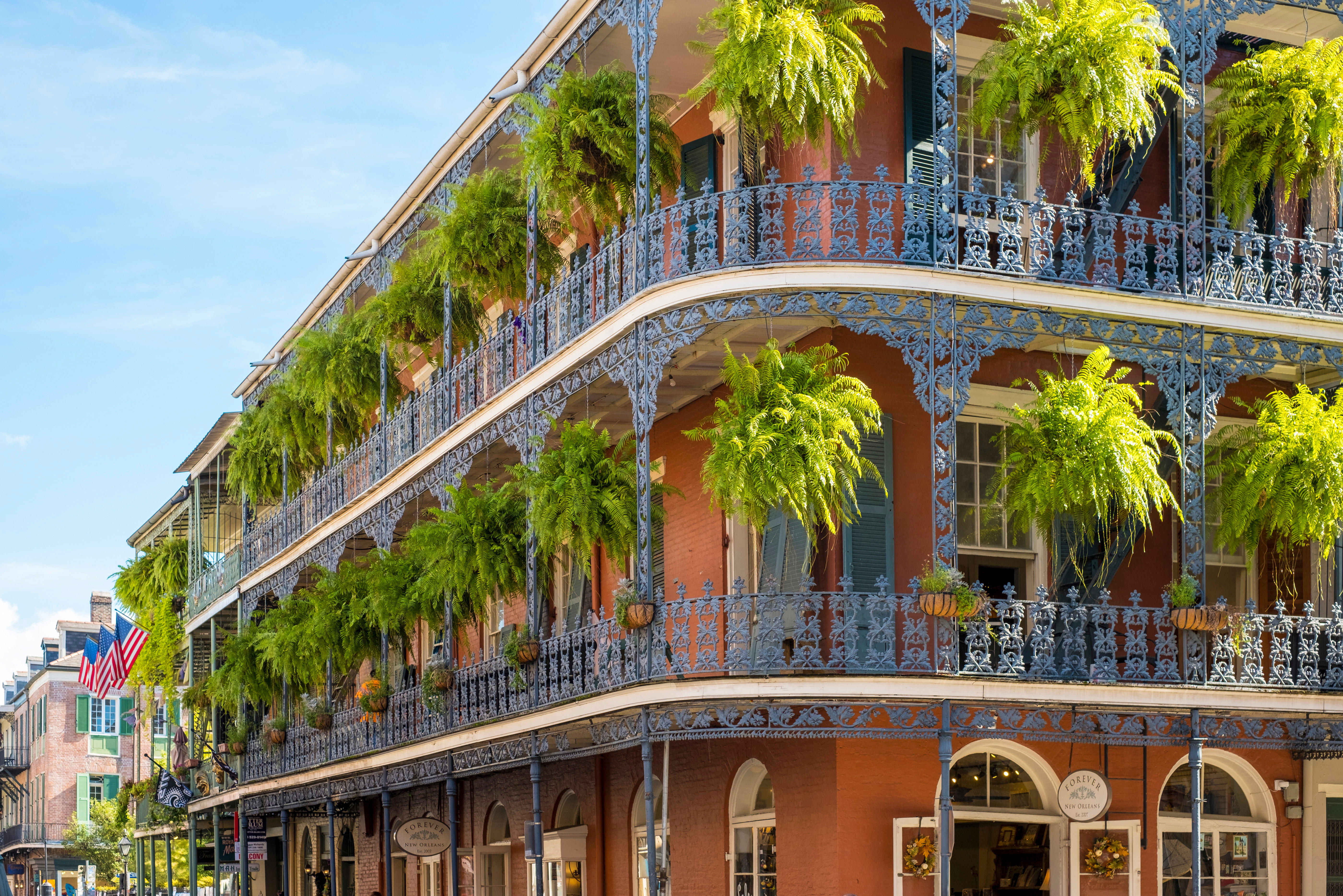 New Orleans & The Caribbean