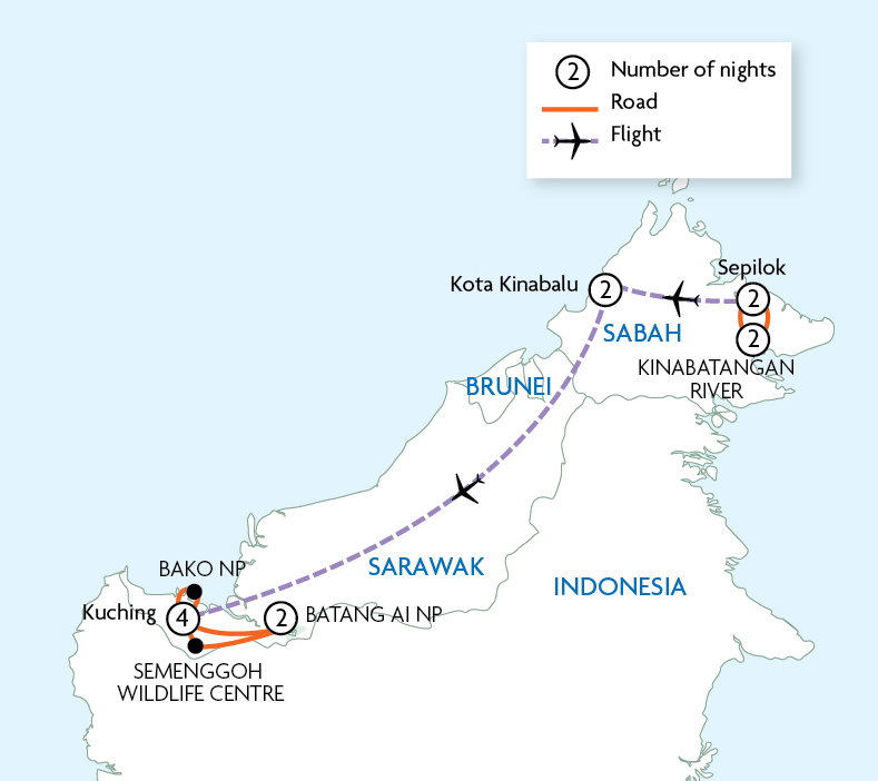 Highlights of Borneo