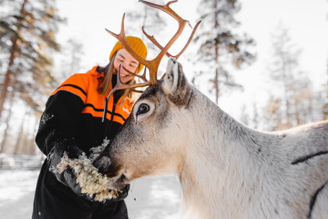 Lapland Winter Wonderland - Chalet & Glass Igloo - 4 night package