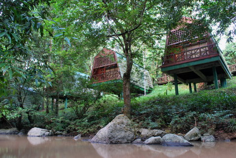 Tabin Wildlife Resort