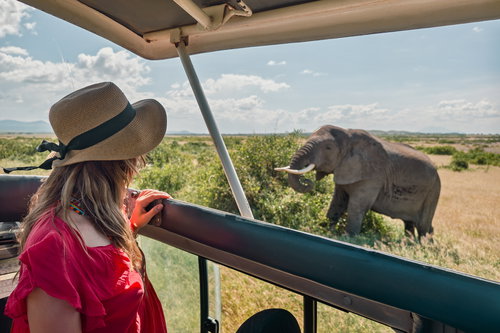 Young woman discover african nature by car with an open roof Tanzania safari, Africa