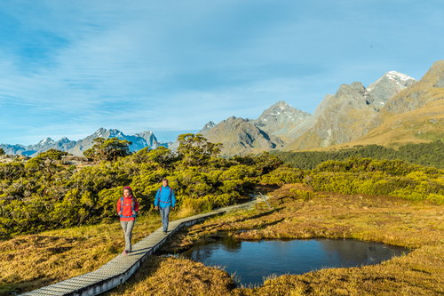 Hikers on Key Summit Track in Fiordland National Park, New Zealand