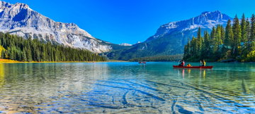 Rainforest to Rockies
