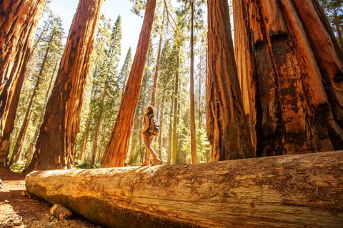 USA & Canada Trekking Holidays holidays