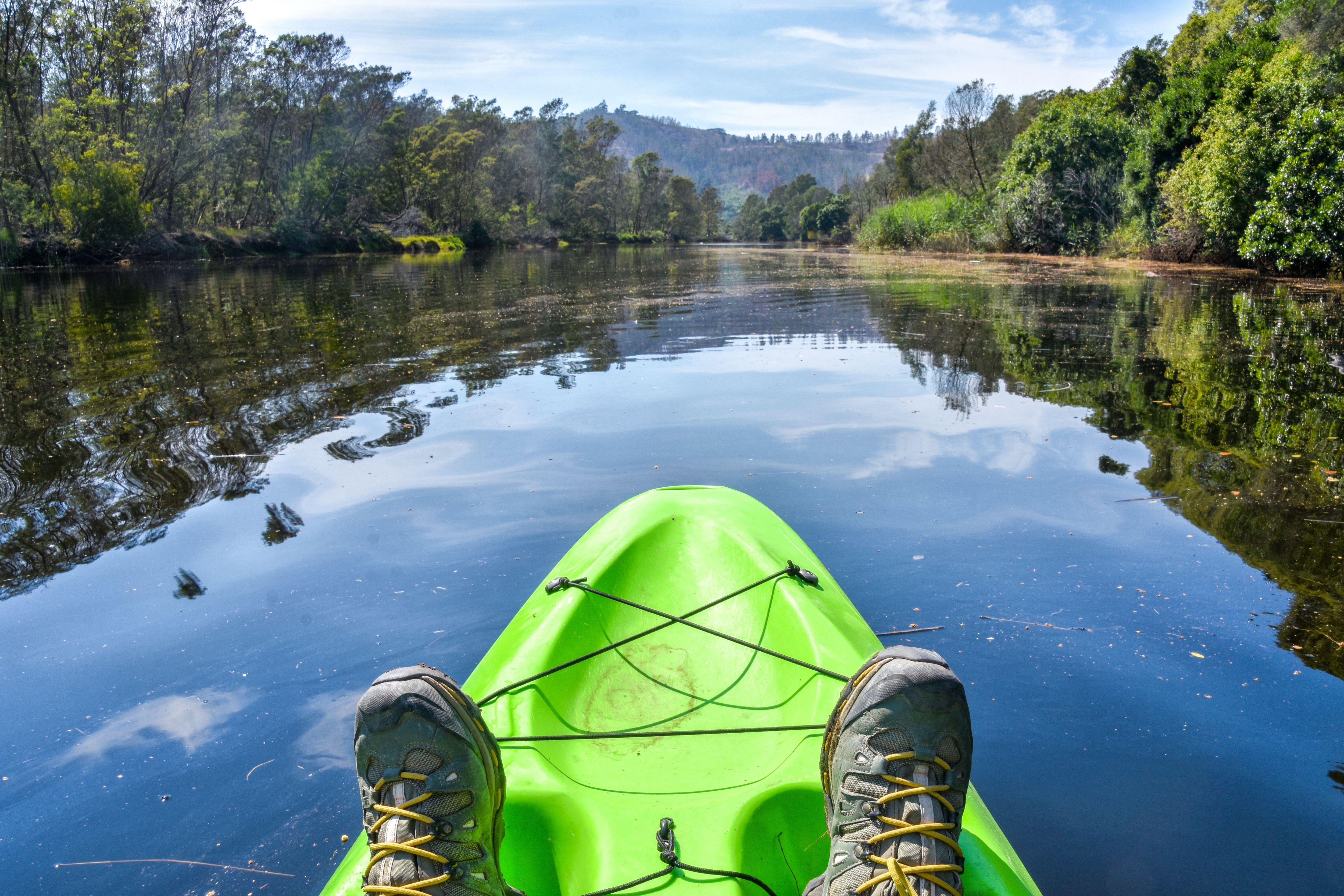 Tourists kayaking in the Knysna river, Garden Route, South Africa