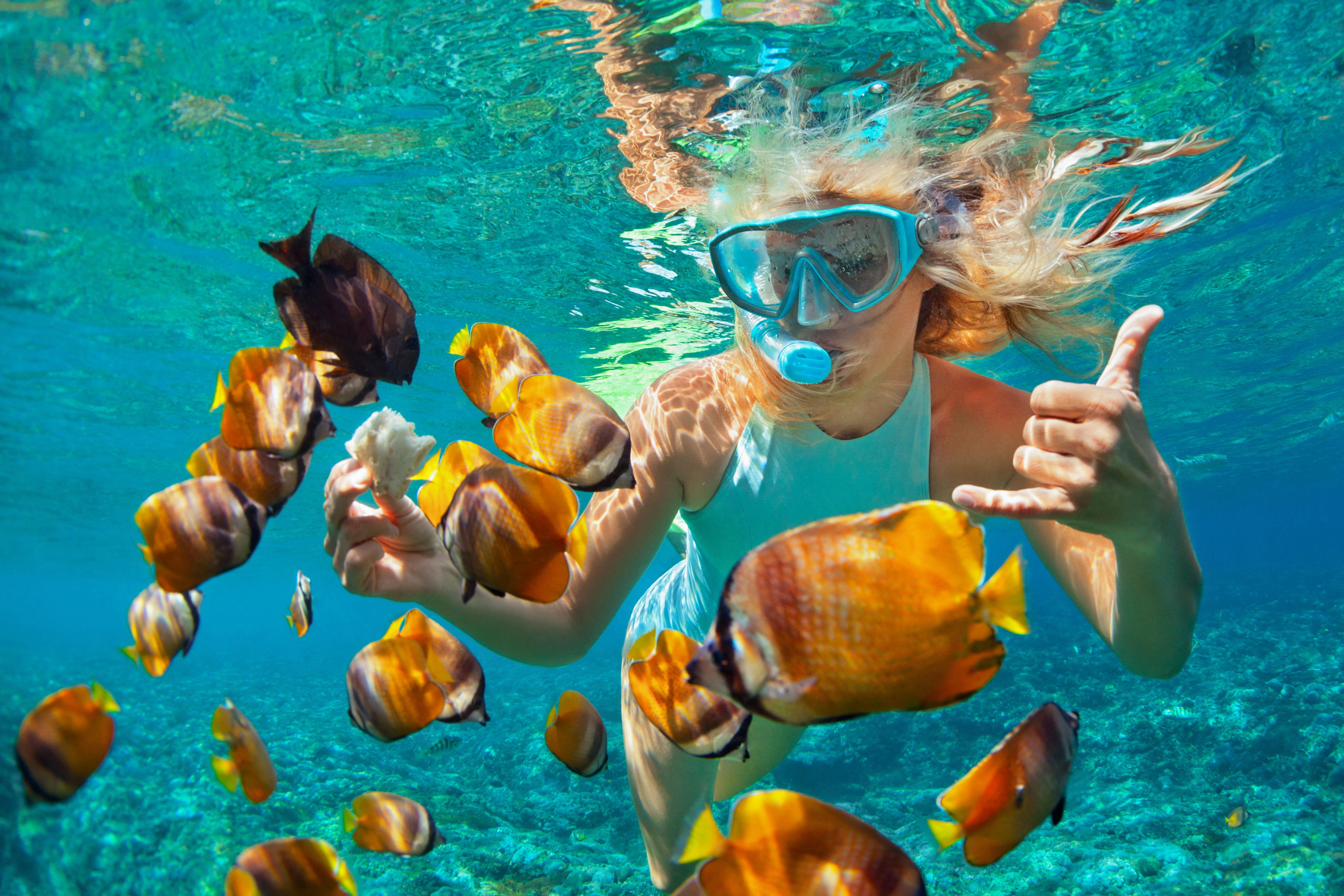 Woman in snorkeling mask dive underwater with tropical fishes in coral reef sea pool, Bali