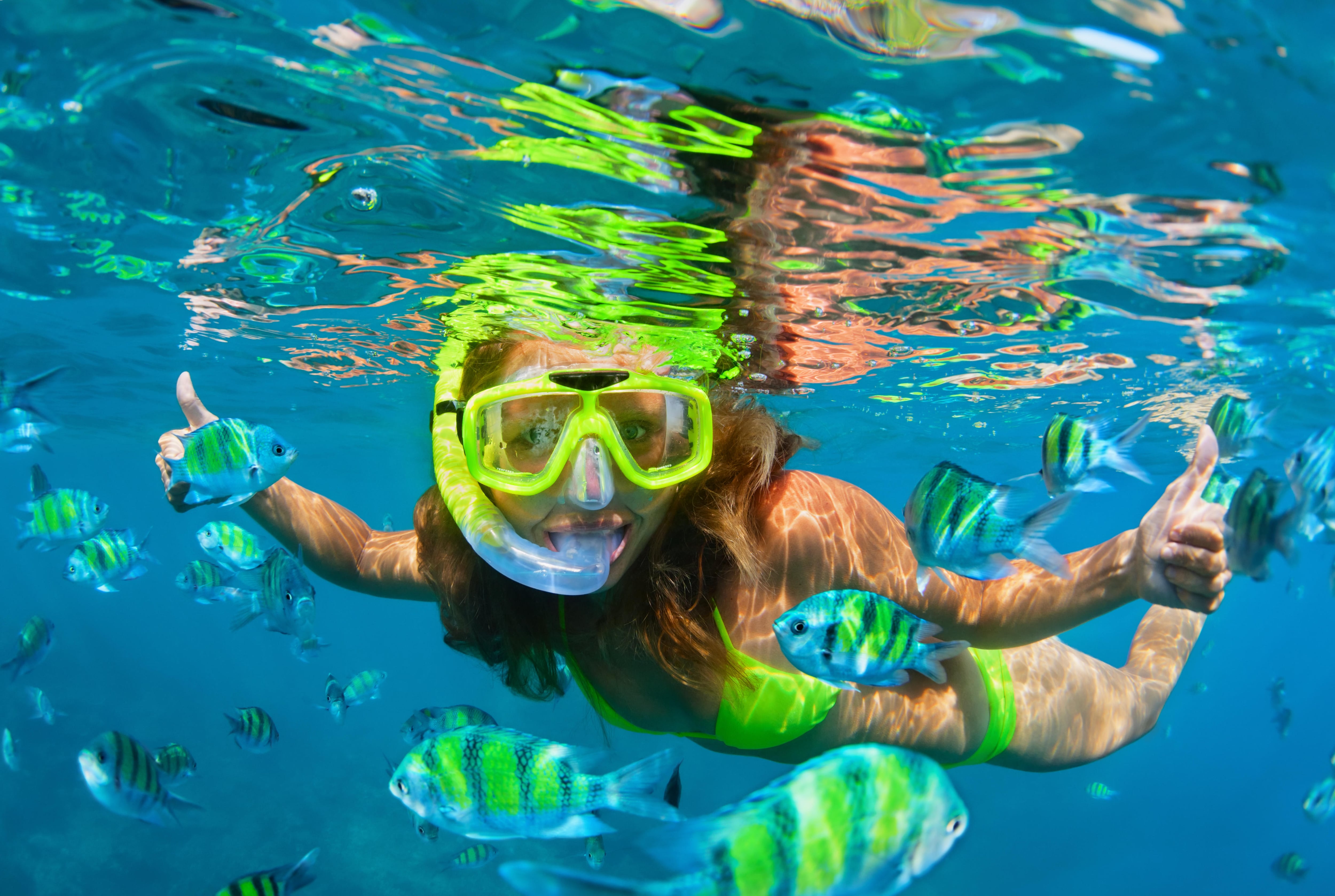 Woman in snorkeling mask dive underwater with tropical fishes in coral reef sea pool, Australia
